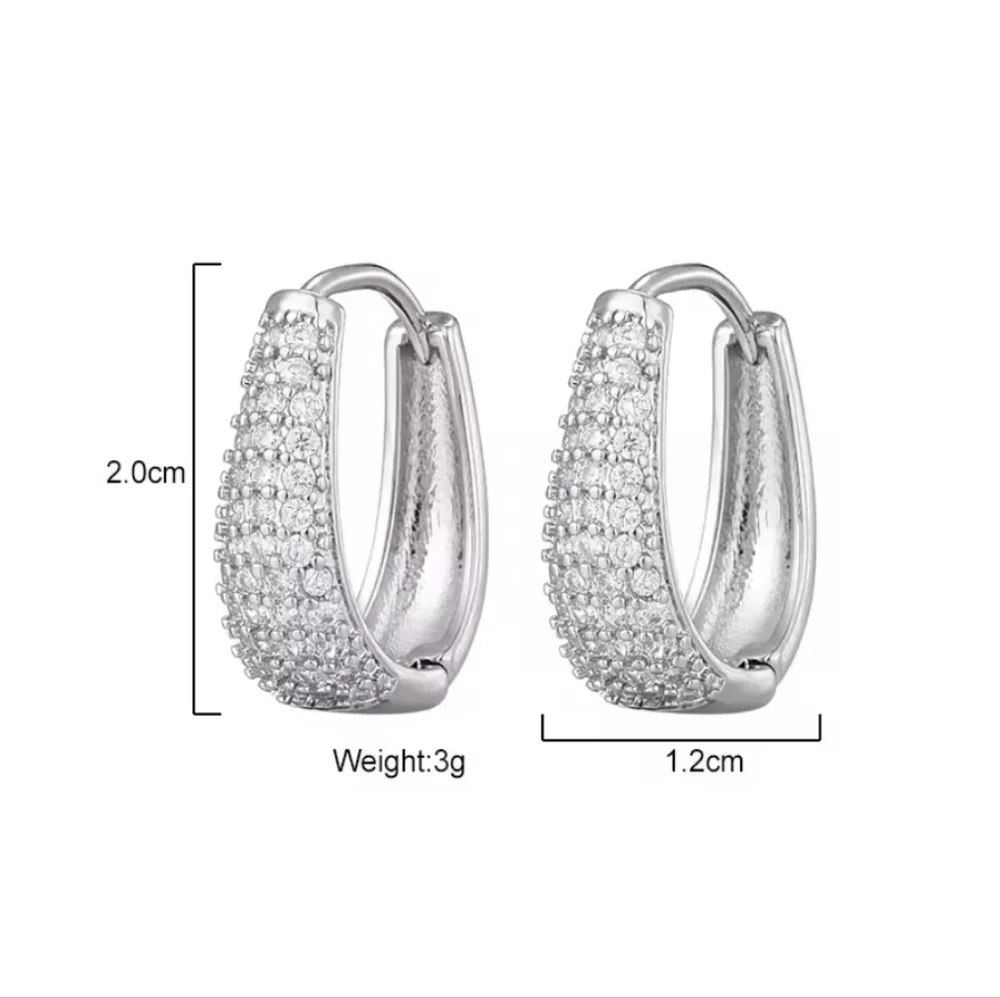 Dazzling Silver Micropave Huggie Hoop Earrings